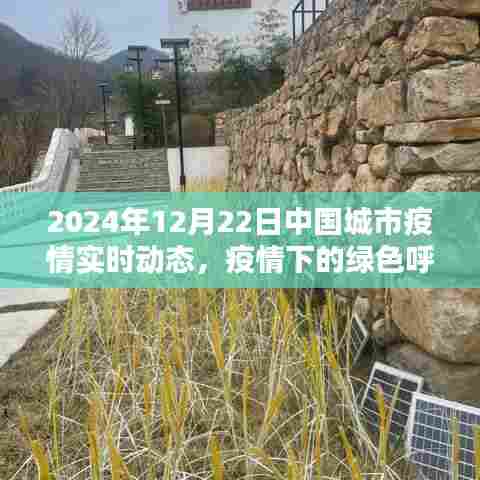 2024年12月22日中国城市疫情实时动态，疫情下的绿色呼吸与自然的邂逅