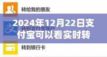 支付宝实时转账查看功能操作指南，初学者与进阶用户适用（2024年12月22日更新）