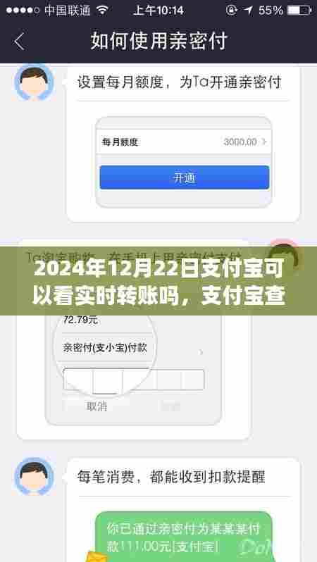 支付宝实时转账查看功能操作指南,初学者与进阶用户适用(2024年12月22日更新)