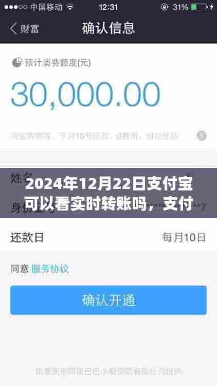 支付宝实时转账查看功能操作指南,初学者与进阶用户适用(2024年12月22日更新)
