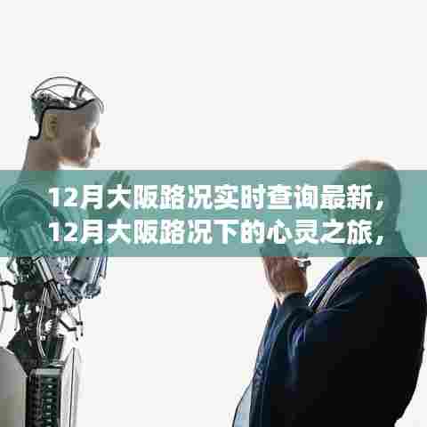 12月大阪路况下的心灵之旅，实时路况查询与路上的宁静美景探索