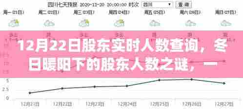 冬日暖阳下的股东人数之谜，友情、陪伴与爱的故事