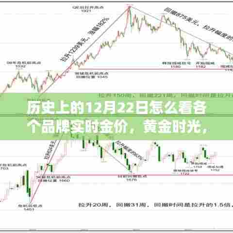芳兰竟体 第3页