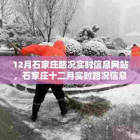 夯雀儿先飞 第4页