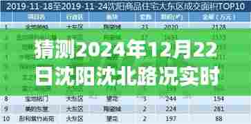 2024年12月22日沈阳沈北路况实时查询解析，产品特性、用户体验与目标用户群体分析