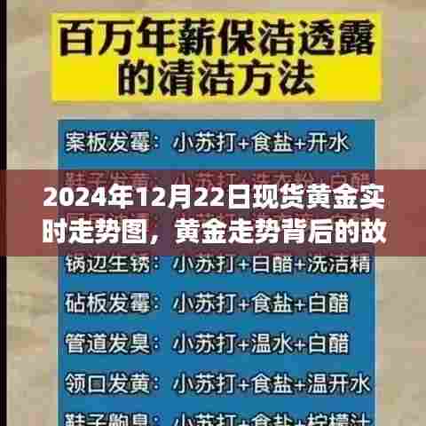 黄金走势背后的故事，学习、变化与自信之源——现货黄金实时走势图分析（2024年12月22日）