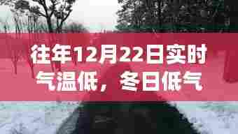 冬日暖心之旅,低温下的不期而遇的自然美景