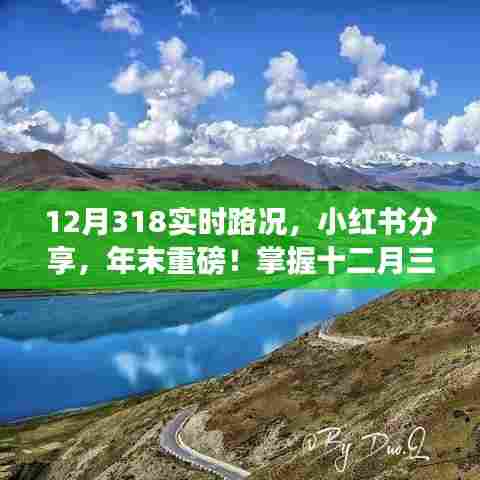 小红书分享年末重磅实时路况，掌握十二月三十一日路况，出行无忧！