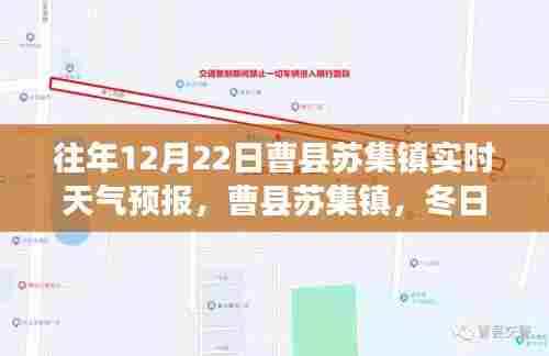 曹县苏集镇冬日暖阳下的励志之旅，实时天气预报与成长自信观察