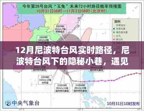 尼波特台风下的奇妙故事,隐秘小巷与特色小店的邂逅