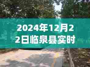 临泉县公交新航线，追寻自然美景的诗意旅程，远离尘嚣的临泉探秘之旅（实时路线图）