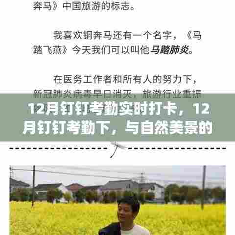 12月钉钉考勤下的自然美景邂逅之旅