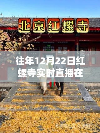 轻徙鸟举 第3页