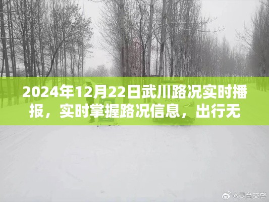 2024年武川路况实时播报系统评测报告,掌握路况信息,出行无忧