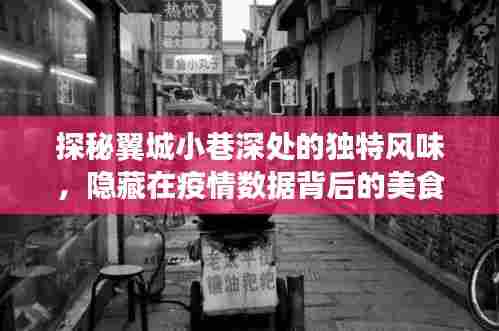 翼城小巷美食秘境，疫情背后的独特风味探秘