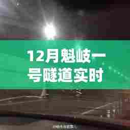 魁岐一号隧道12月实时动态