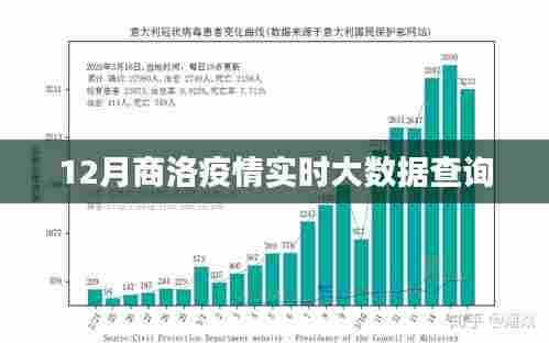 商洛疫情最新实时大数据查询（12月版）