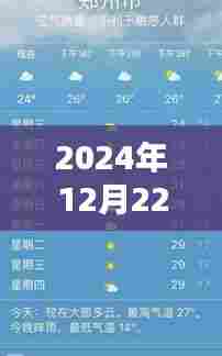 郑州昨日气温实时播报，2024年12月22日天气温度查询