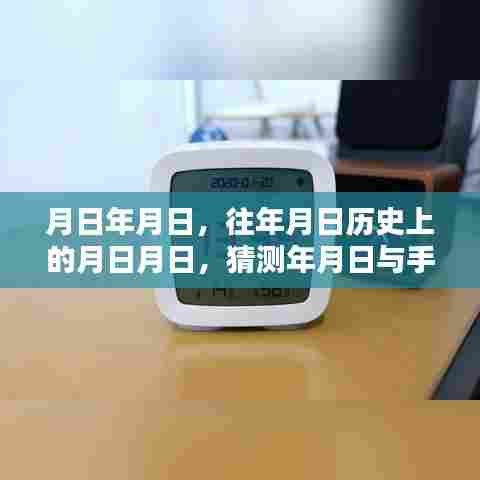 年月日探秘，历史与实时网络的交汇点