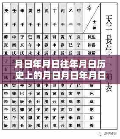 月日月年历史回顾与实时投票进度显示猜想