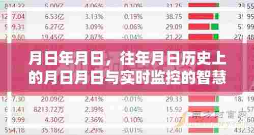 智慧树探索,历史节点与实时监控之旅