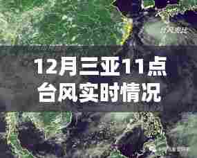 三亚台风实时更新，12月台风动态及影响分析