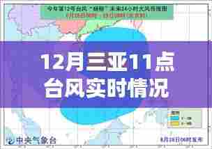 三亚台风实时更新,12月台风动态及影响分析