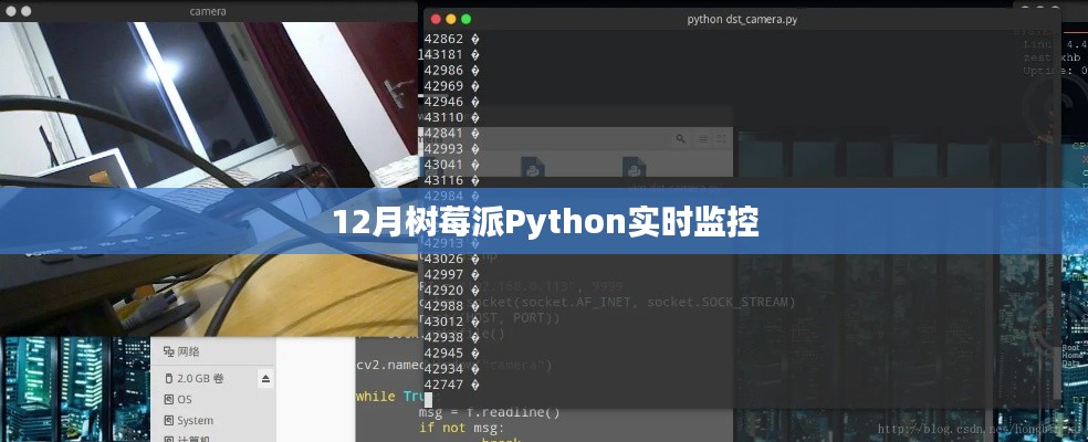 树莓派Python实时监控教程,12月操作指南