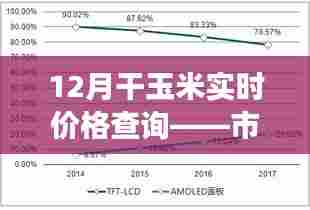 干玉米实时价格查询，市场走势及影响因素解析