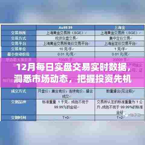 12月实时交易数据解析，洞悉市场，掌握先机