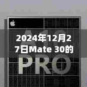 Mate 30实时翻译，跨语言沟通的新纪元