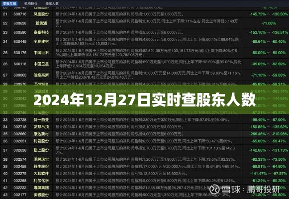 梨花带雨 第3页