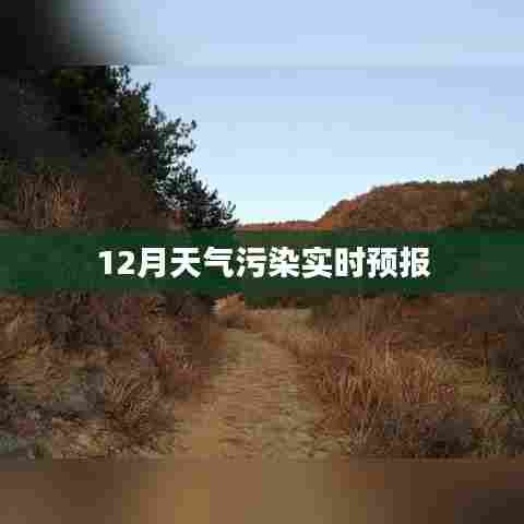 箭拔弩张 第4页