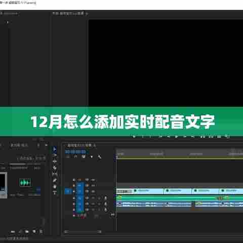 实时配音文字添加指南，12月操作教程