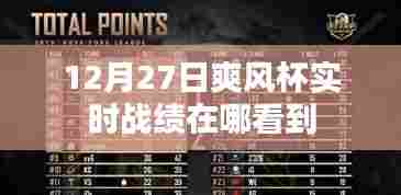 爽风杯实时战绩查询指南，12月27日战绩一览
