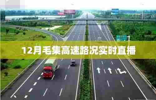 威风凛凛 第3页