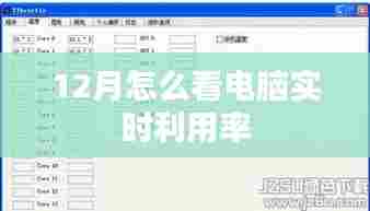 电脑实时利用率监控指南，十二月必备技能