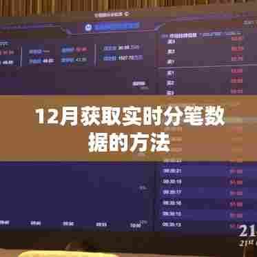 12月实时分笔数据获取攻略