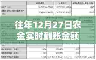 农金实时到账操作解析，往年12月27日资金操作详解