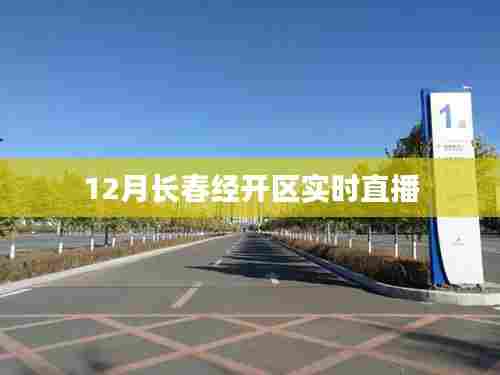 长春经开区12月实时直播概况