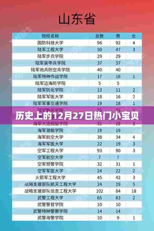 历史上的热门小宝贝，揭秘十二月二十七日精彩瞬间