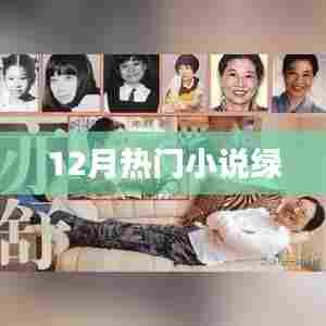 绿野仙踪，十二月必读的热门小说