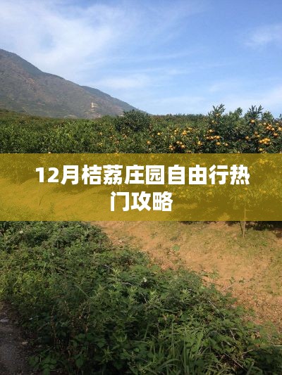 桔荔庄园12月自由行攻略大全