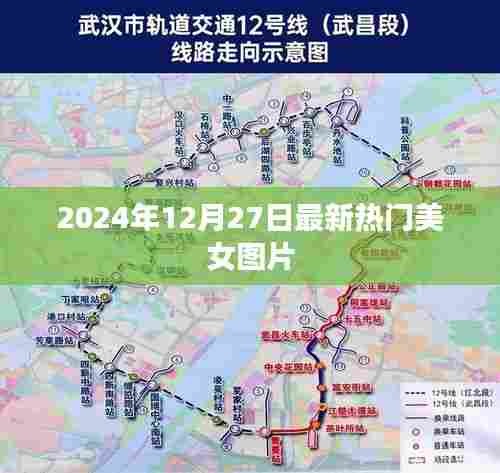 最新热门美女图片大放送，2024年精选