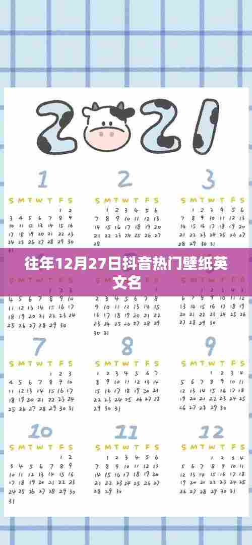 抖音热门壁纸英文名盘点往年精选推荐