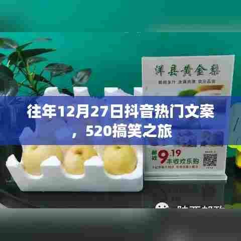 抖音热门文案回顾，520搞笑之旅揭秘往年盛况