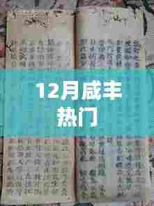 咸丰十二月热点事件回顾