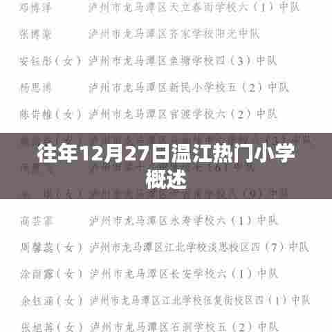 温江热门小学往年12月27日概览
