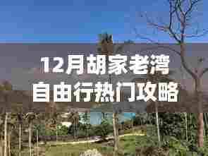 胡家老湾十二月自由行攻略