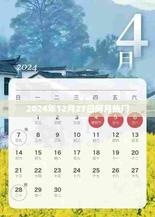 阿月热门,揭秘2024年12月27日的热点事件